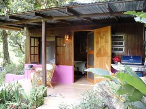 Jungle Jane's Paradise for Two